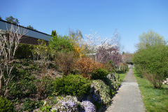 Fruehling_2020_Riedernrain_10