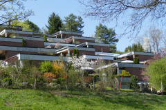 Fruehling_2020_Riedernrain_11