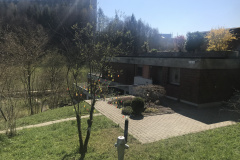 Fruehling_2020_Riedernrain_5