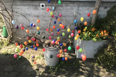 Fruehling_2020_Riedernrain_9