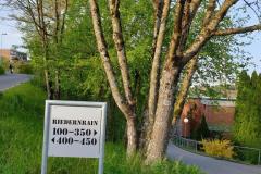 Impressionen_Anna_-1