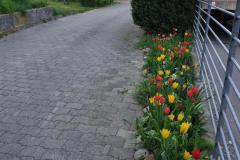Impressionen_Anna_-3