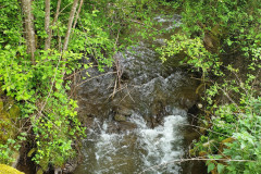 RR_Anna_02052020_1