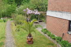 RR_Anna_02052020_2