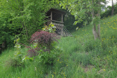 RR_Anna_30052020_-3