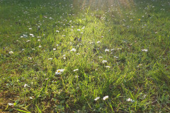 RR_Anna_30052020_-4