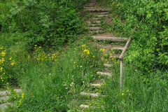 RR_Anna_30052020_-7