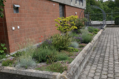 RR_Anna_09082020_4